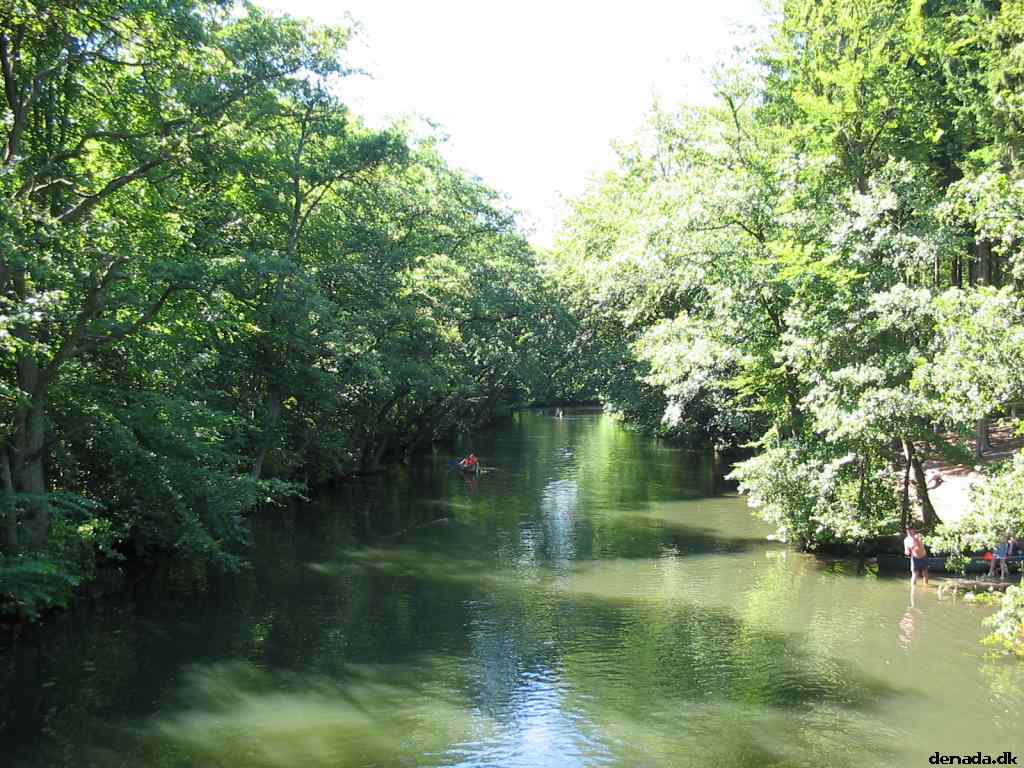 * Image 131