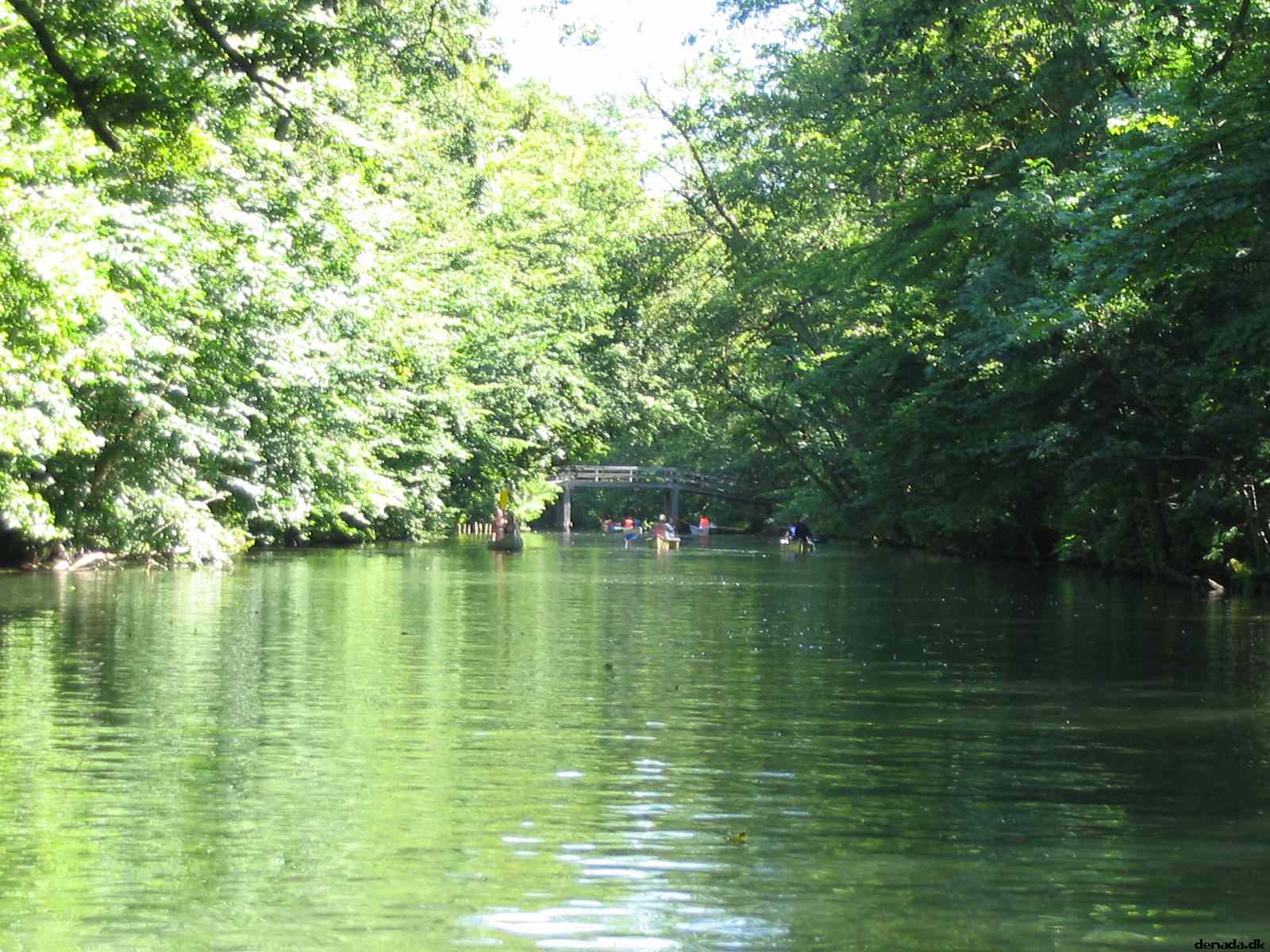 * Image 38