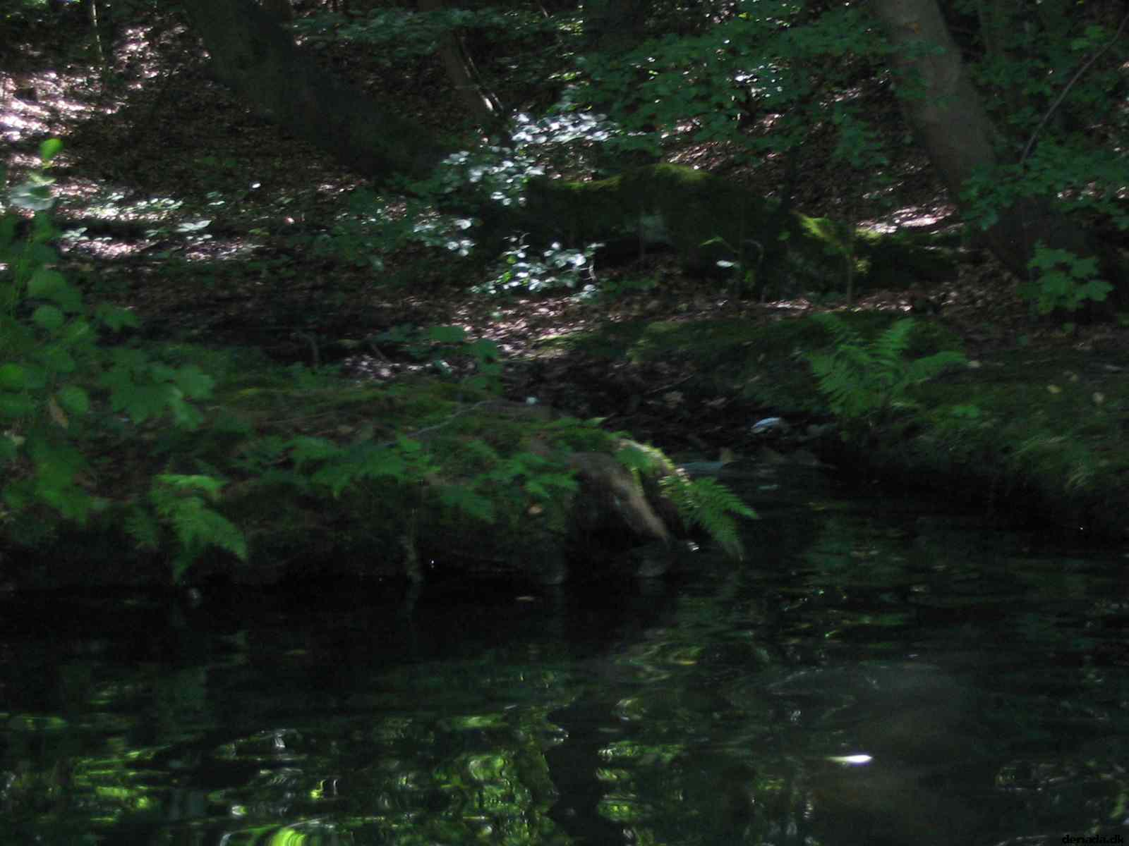 * Image 60