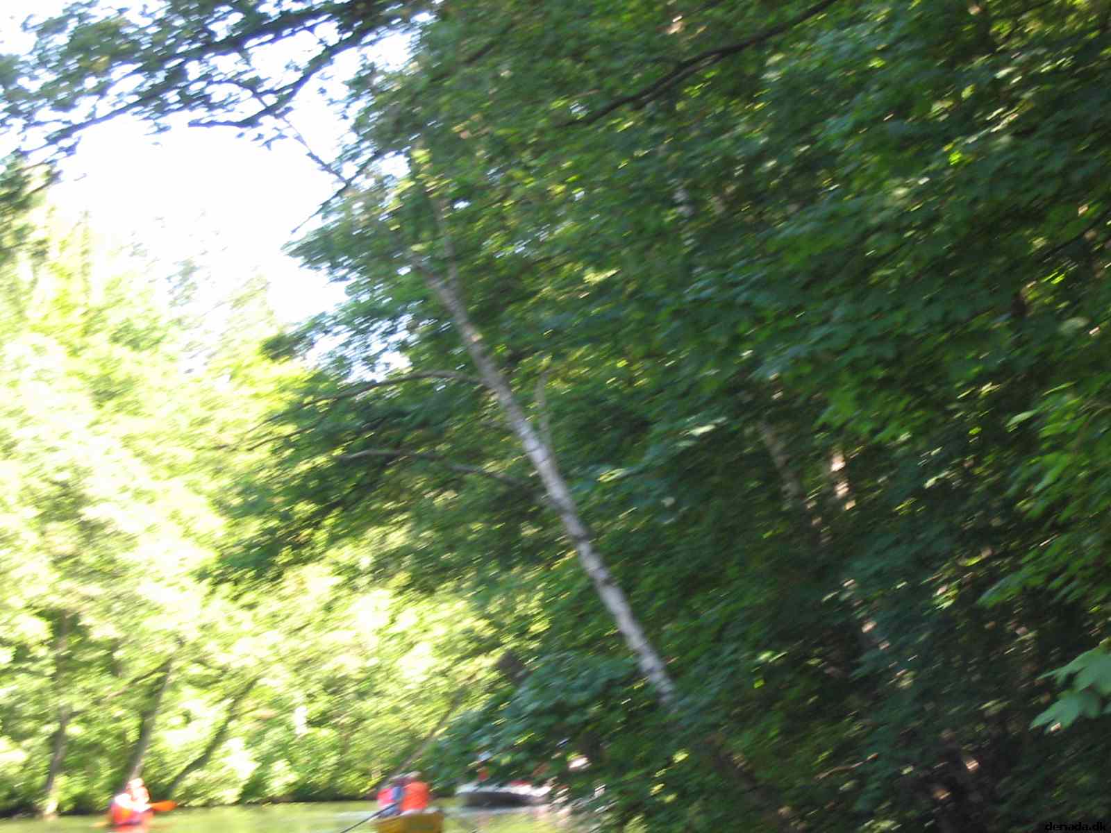 * Image 61