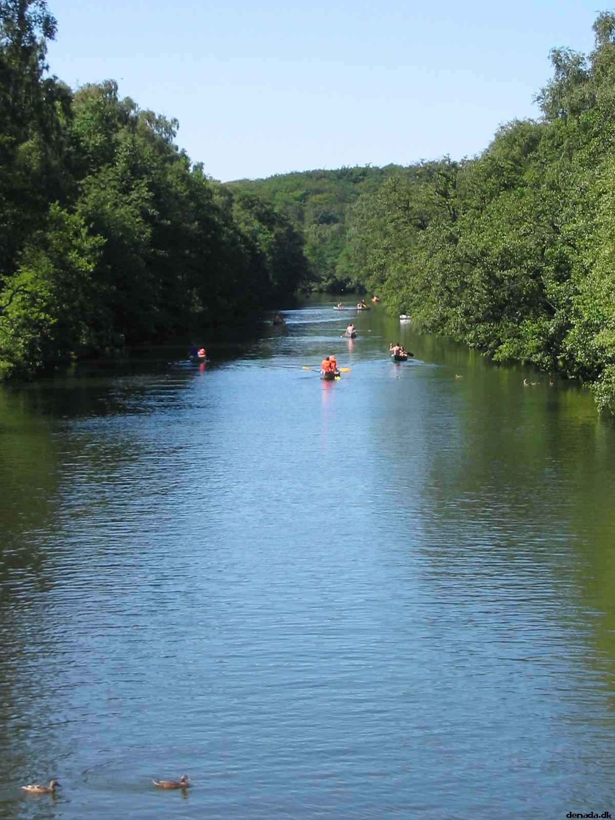* Image 95