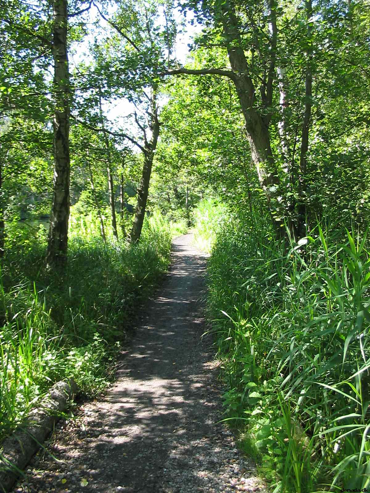 * Image 103