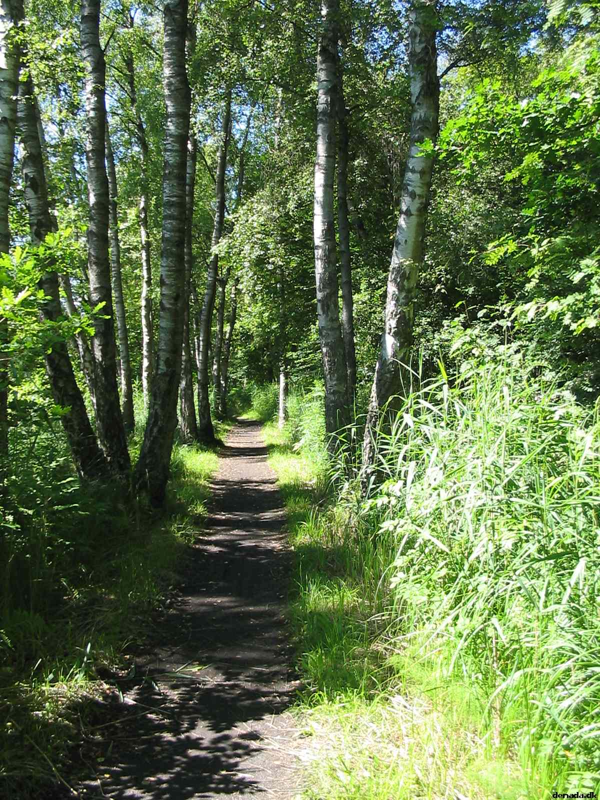 * Image 106