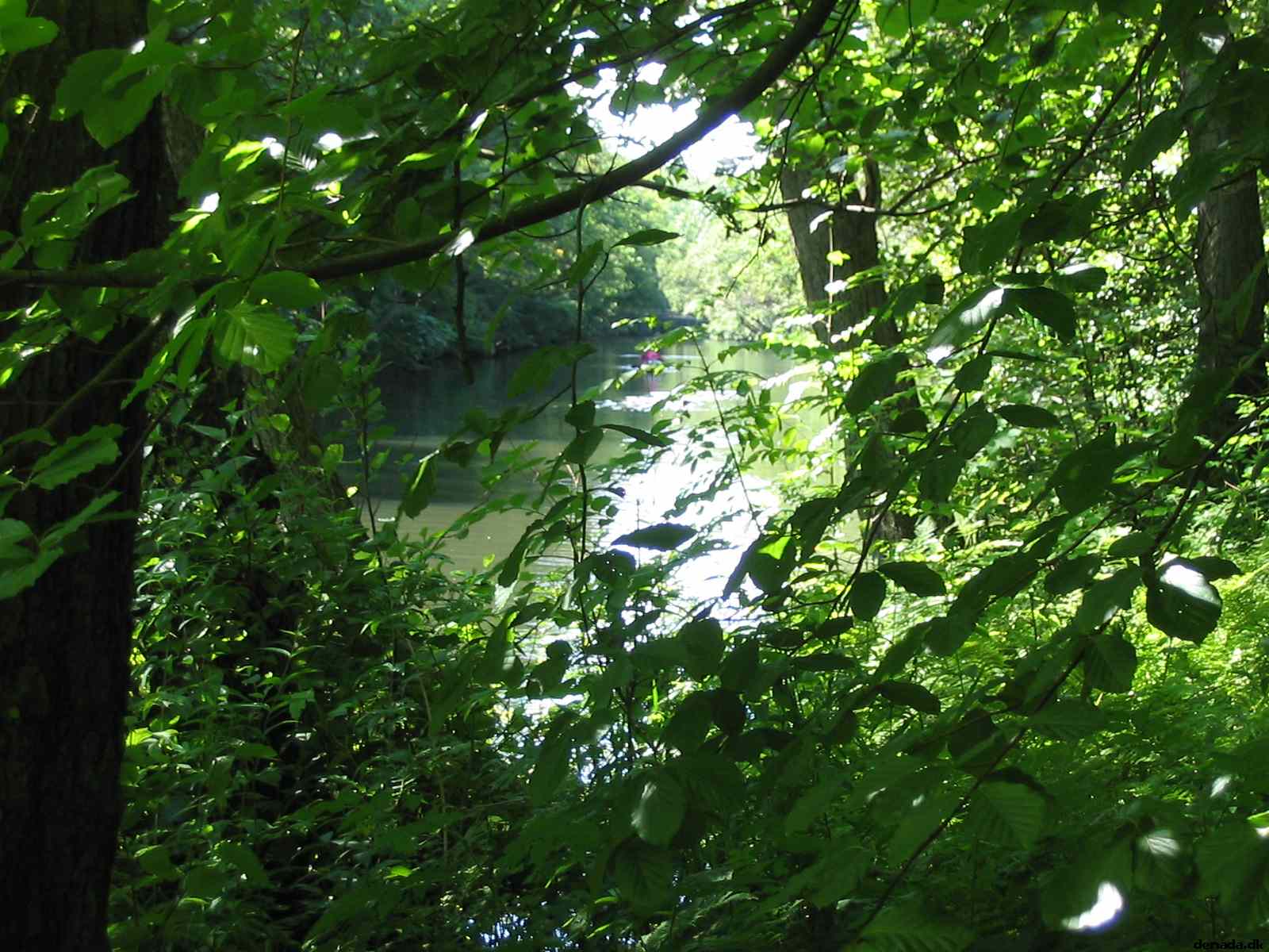 * Image 110