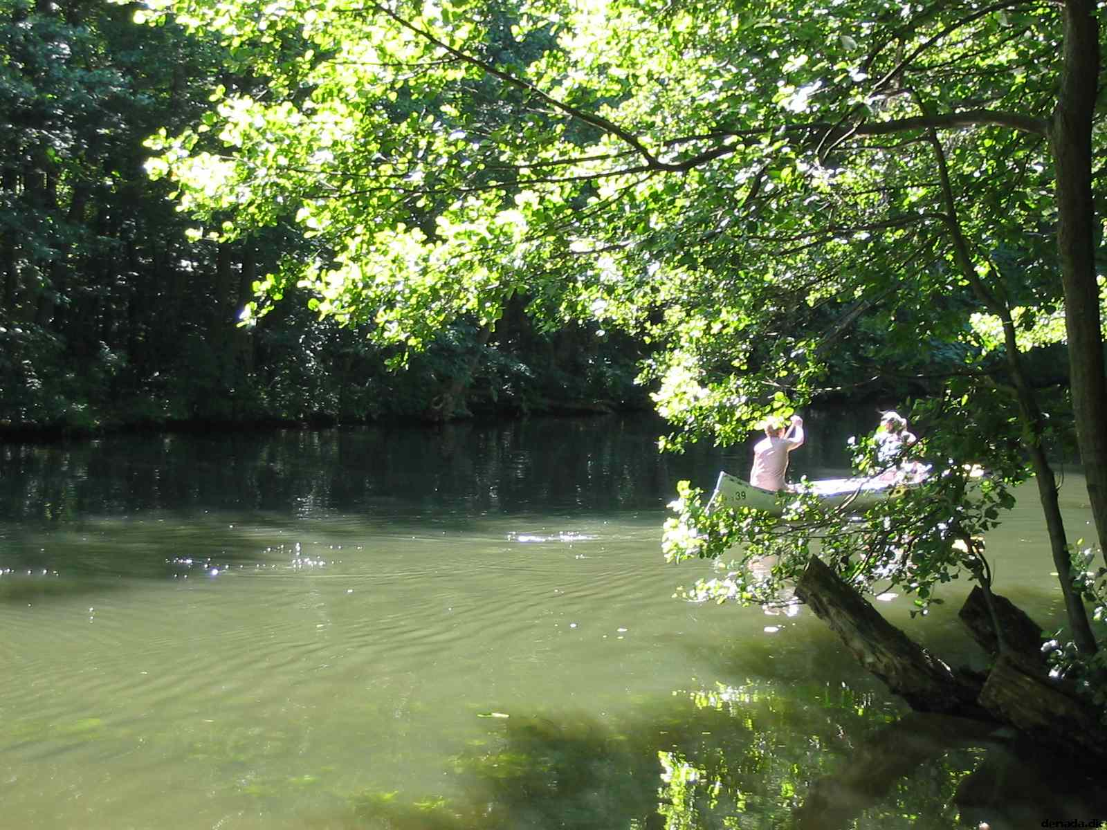 * Image 114