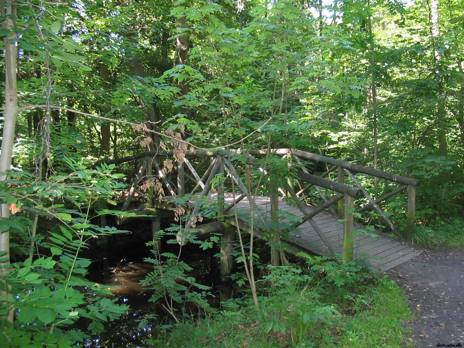 * Image 119