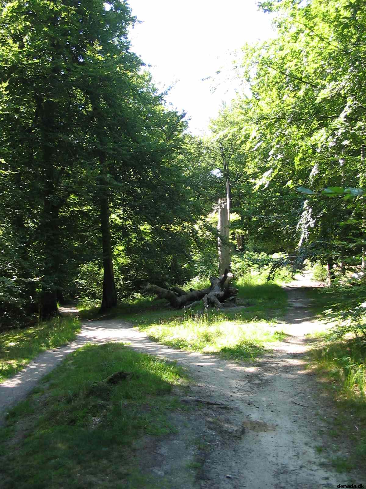 * Image 122