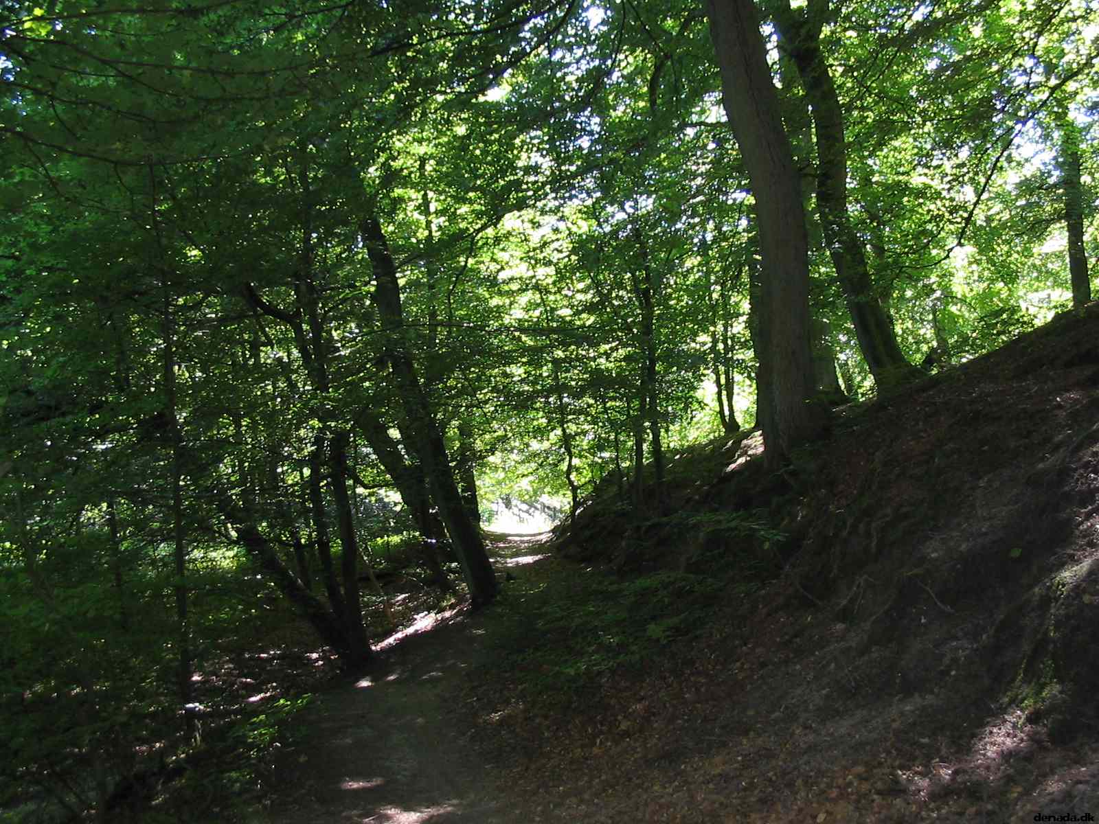 * Image 128