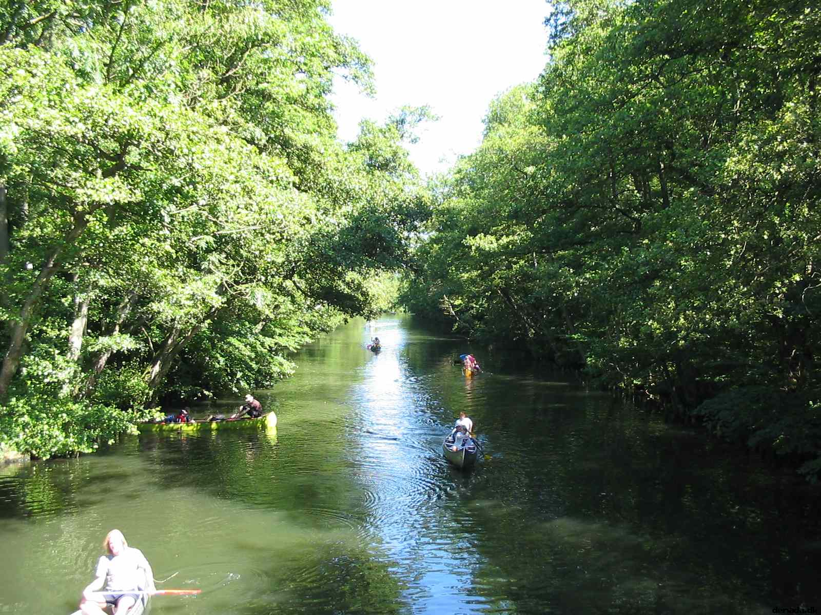 * Image 130