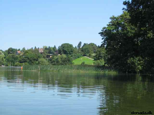 * Image 7