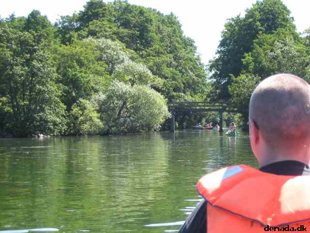 * Image 8