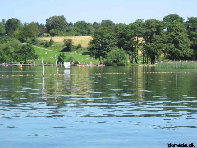 * Image 11