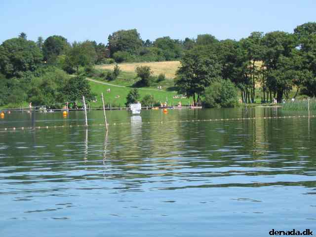 * Image 12