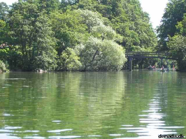 * Image 13