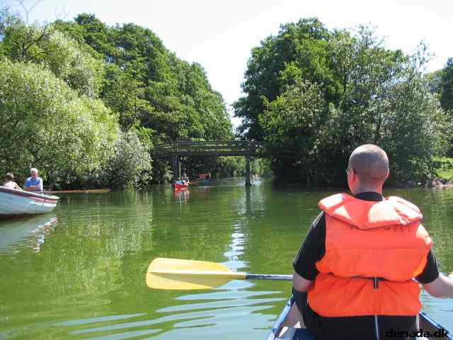 * Image 14
