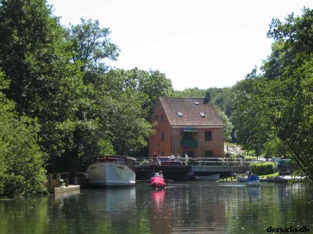 * Image 21
