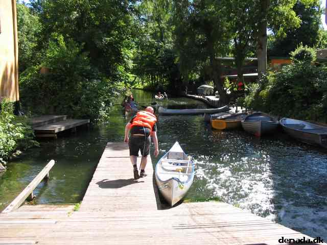 * Image 31