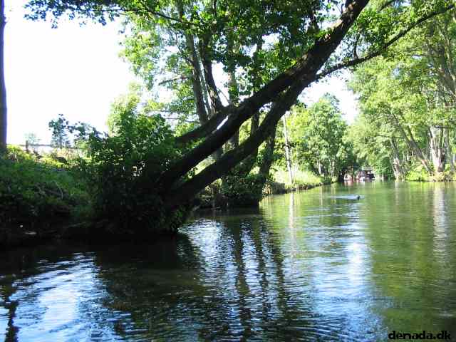 * Image 34