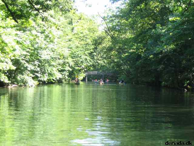 * Image 38