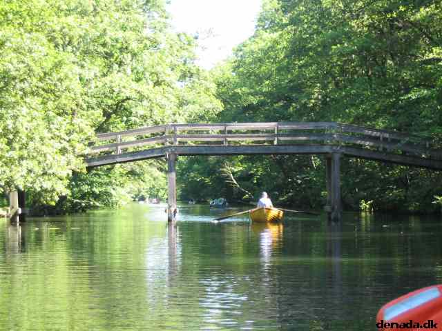 * Image 53