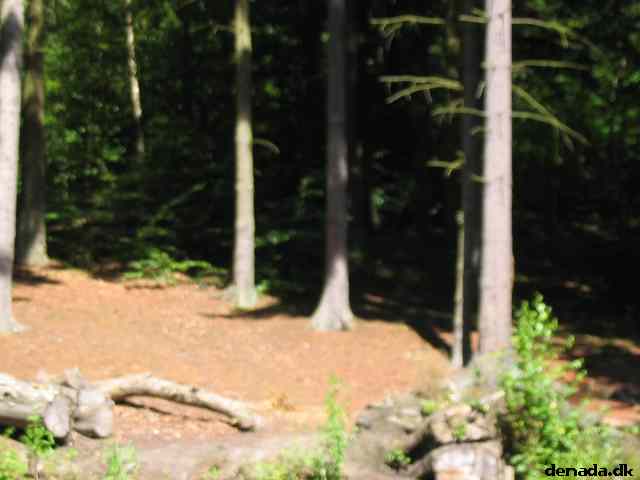 * Image 55