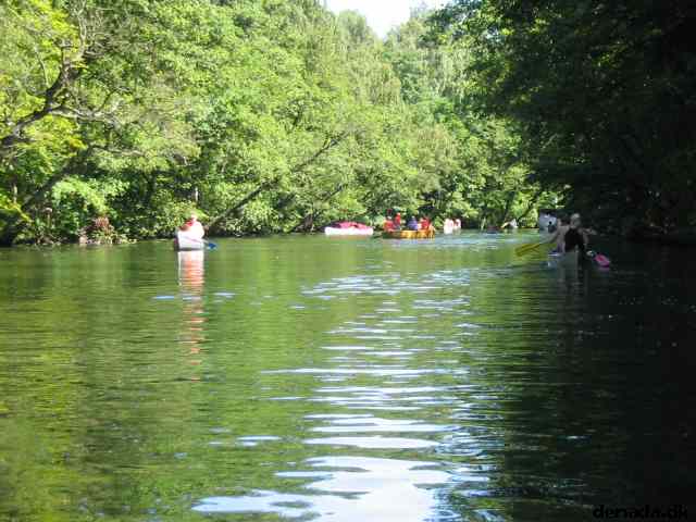 * Image 59