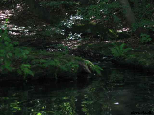 * Image 60