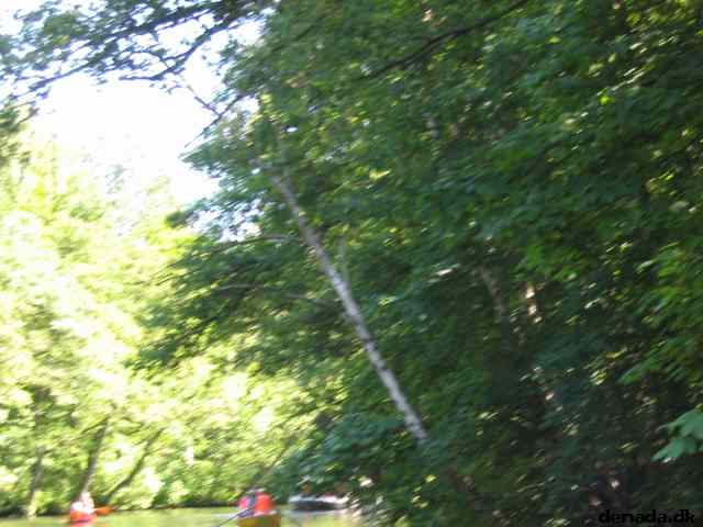 * Image 61