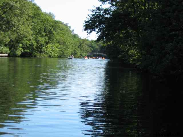 * Image 67