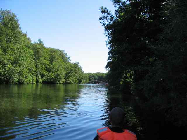 * Image 68