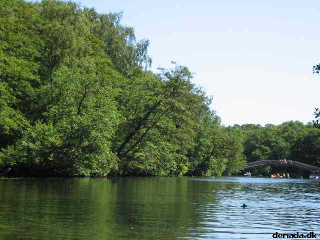 * Image 69