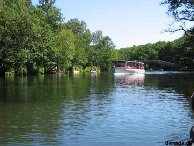 * Image 71