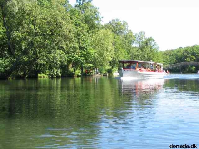 * Image 72