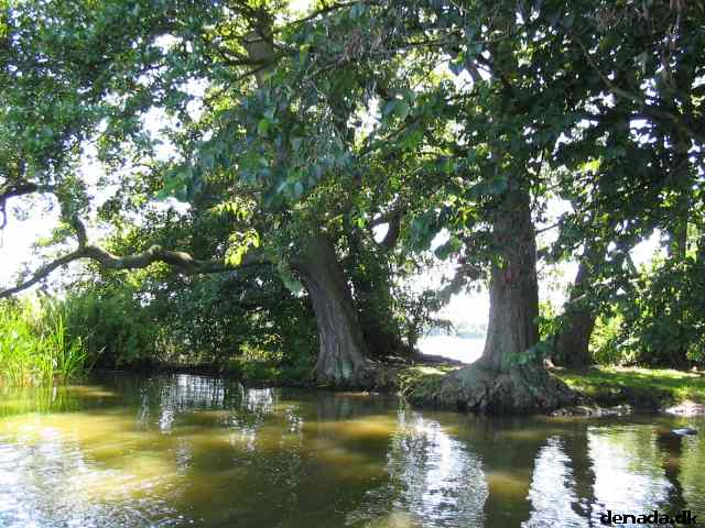 * Image 78