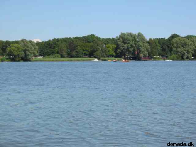 * Image 80