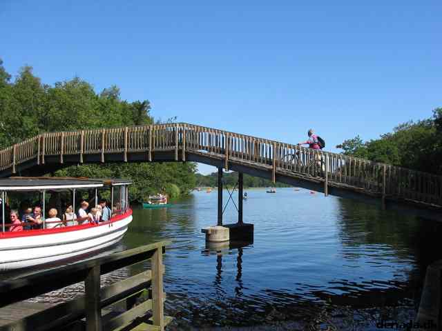 * Image 90