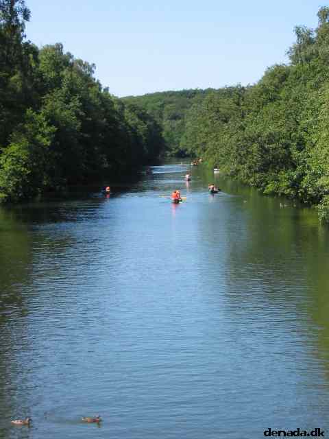* Image 95