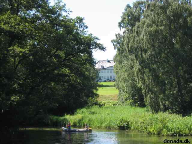 * Image 99