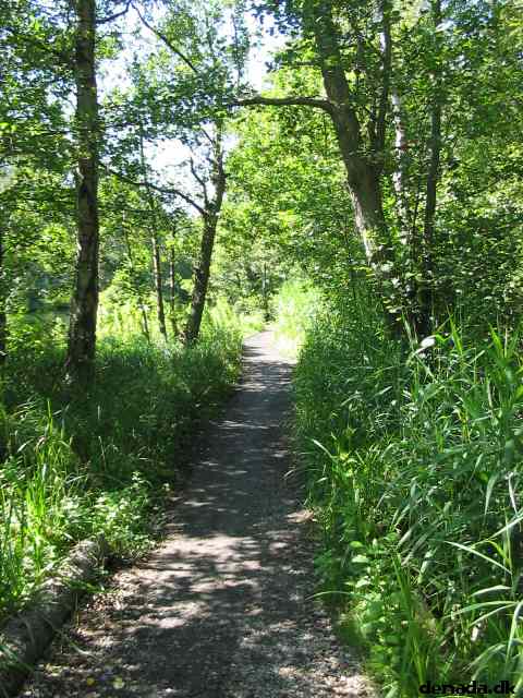 * Image 103