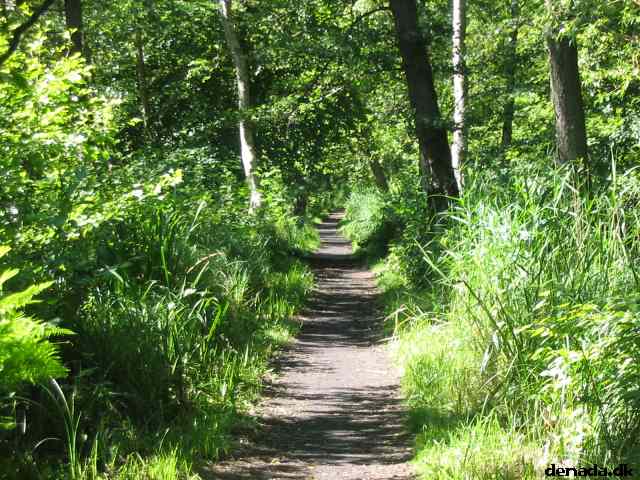 * Image 105