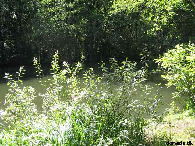 * Image 107