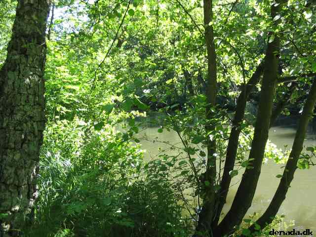 * Image 108