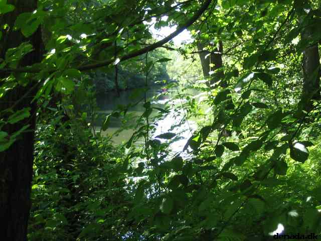 * Image 110