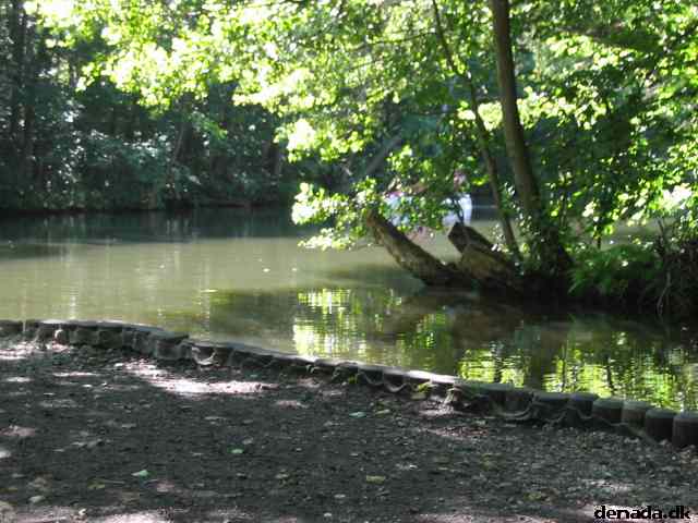 * Image 111