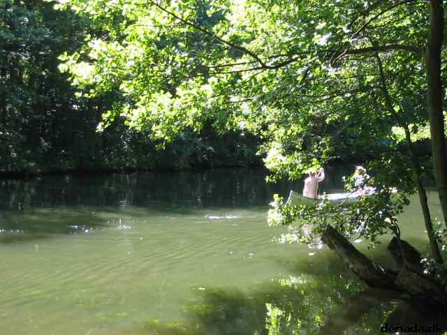 * Image 114