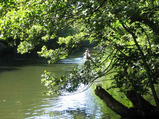 * Image 116