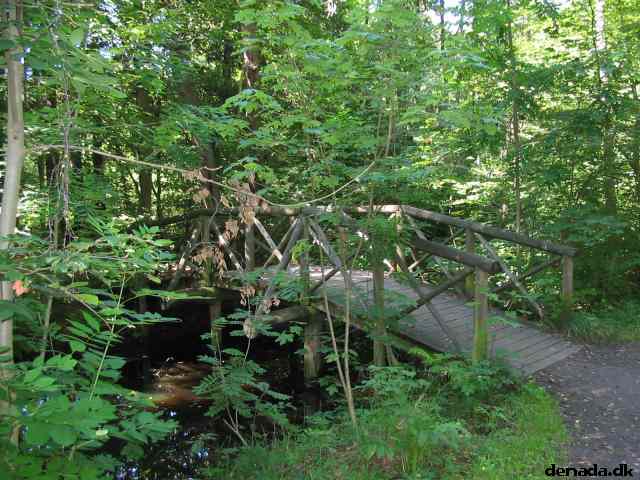 * Image 119