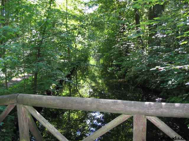 * Image 120