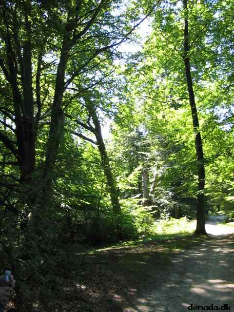 * Image 121