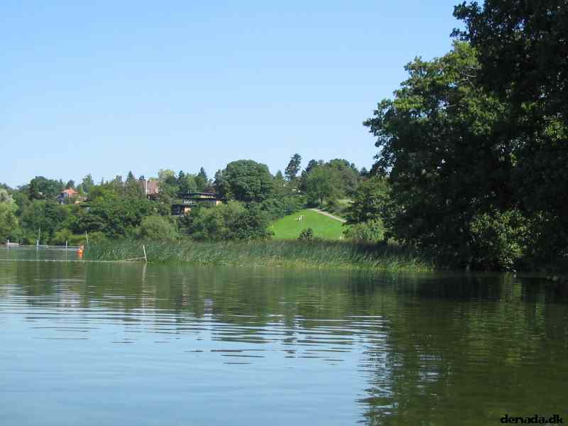 * Image 7